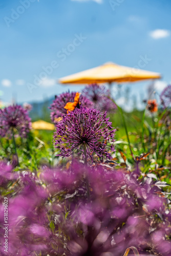 Decorative leeks and flowers in a garden exhibition