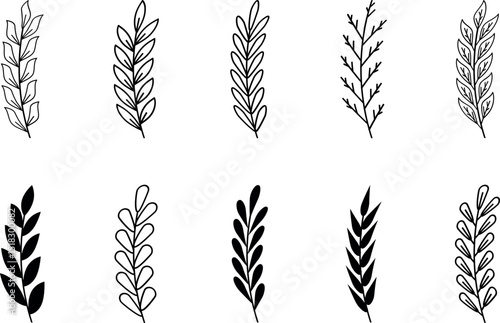 set of wheat ears