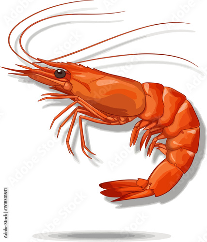 vintage shrimp tail emblem, vector design