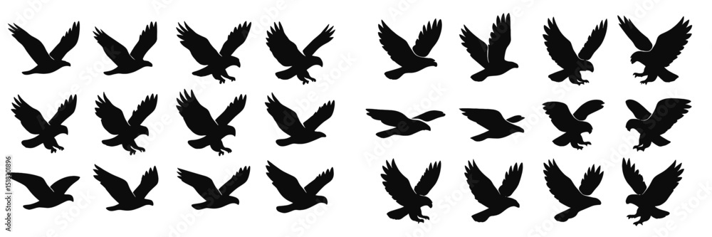 Fototapeta premium Silhouetted birds in flight showcasing various wing positions over a simple background
