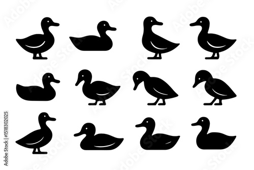 Diverse collection of stylized ducks in various poses and orientations displayed on a white background