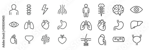Illustration of human body organ icons with minimalistic design for educational use in anatomy studies and health presentations