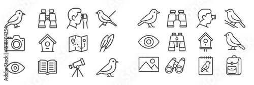 Birdwatching tools and symbols illustrated in a clear and organized layout for enthusiasts and nature lovers