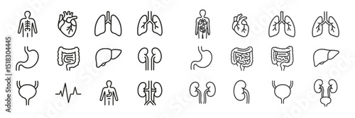 Illustrations of human organs and systems showcasing anatomy in a simplified, clear format in a sleek monochrome design