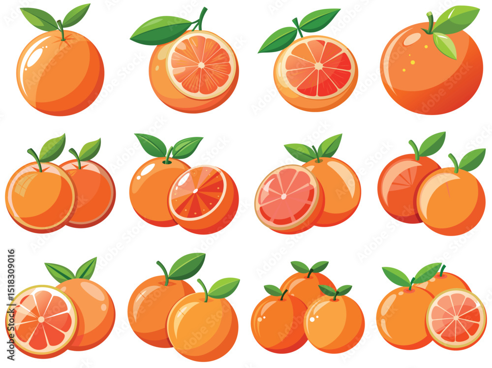 Grapefruit vector illustration isolated on white background. Grapefruit vector illustration isolated on white background.