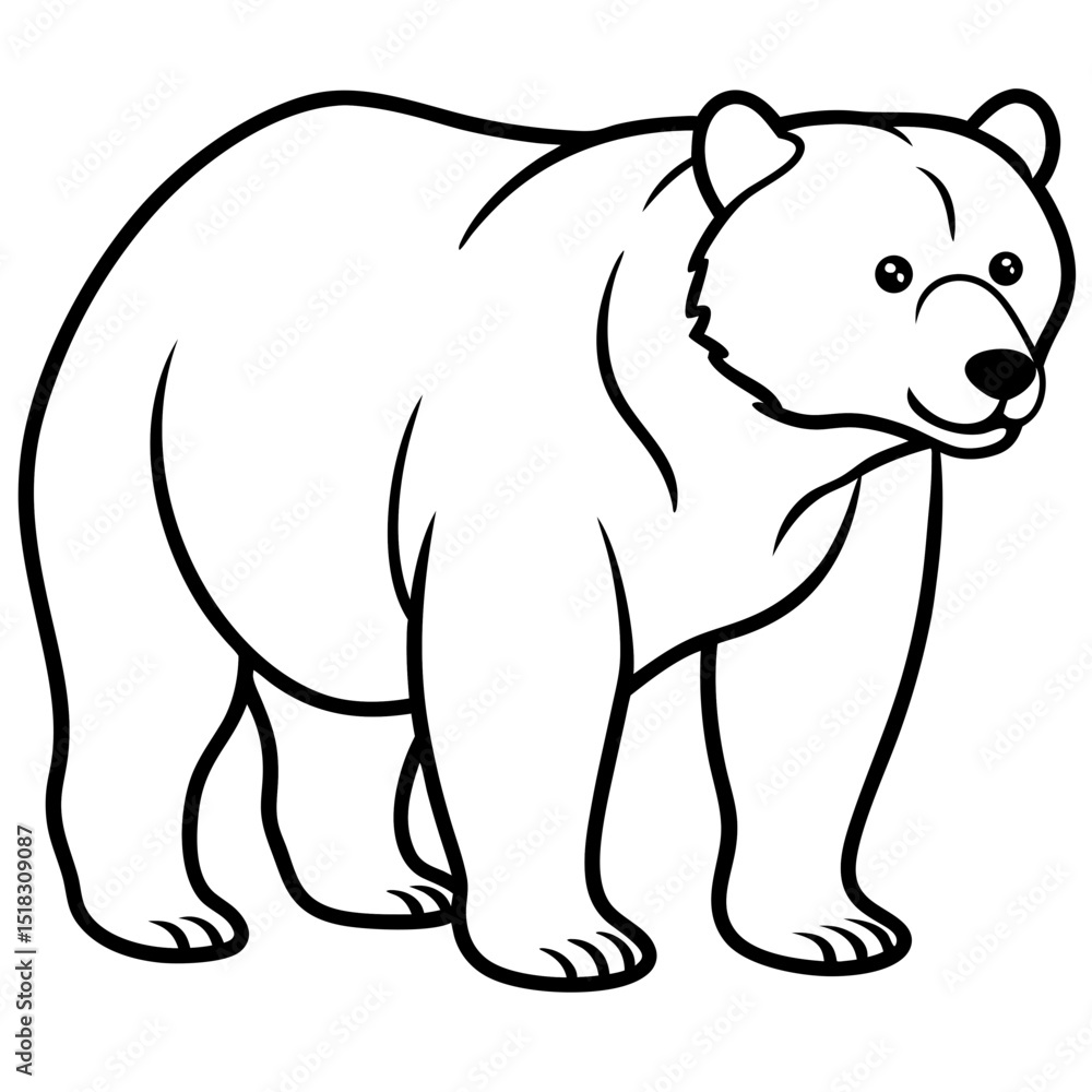 Fototapeta premium bear-line-art-vector
