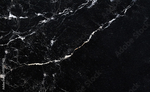 Wallpaper Mural Raw black marble with rough texture and distressed veins, exuding a bold, edgy interior vibe. Perfect for design, web, print, video, virtual sets, packaging, and modern presentations.

 Torontodigital.ca