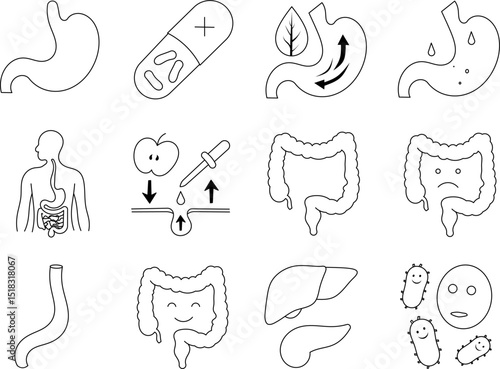 Digestive system line icon set. Vector pictograms of stomach, intestines, liver, gut bacteria, probiotics, digestion process, healthy organs, and gastrointestinal health in thin linear style.