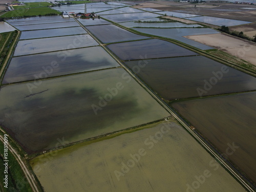 Drone view of Novara’s countryside with flooded rice fields reflecting the sky—iconic of local agricultural land use.