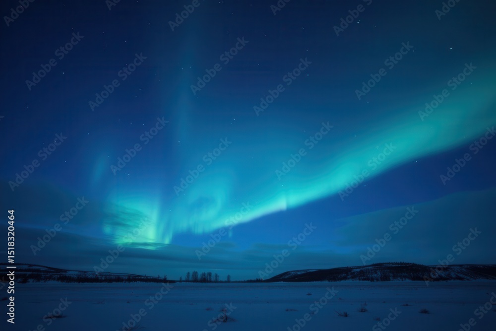 Naklejka premium Aurora borealis illuminating the night sky snowy landscape