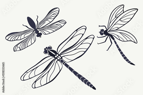 dragonfly vector illustration
