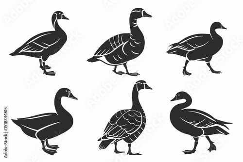 set of geese