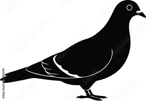 Behang pigeon silhouette vector