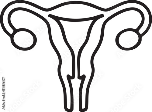Simple Line Drawing of the Female Reproductive System black outline drawing female uterus female