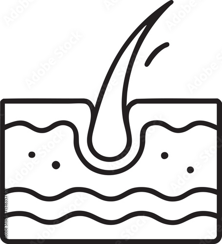 Hair Follicle Anatomy A Detailed Line Art Illustration of Hair Growth and Skin Layers