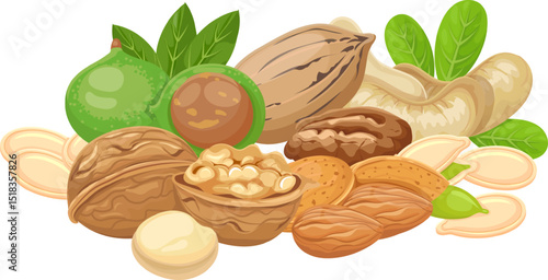 Walnuts, almonds, pecans, cashews, macadamia nuts and pumpkin seeds are displayed together with green leaves, creating an assortment of healthy and nutritious food perfect for a vegan lifestyle