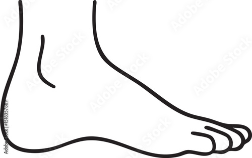 Simple Line Drawing of a Human Foot and Ankle on a White Background minimalist