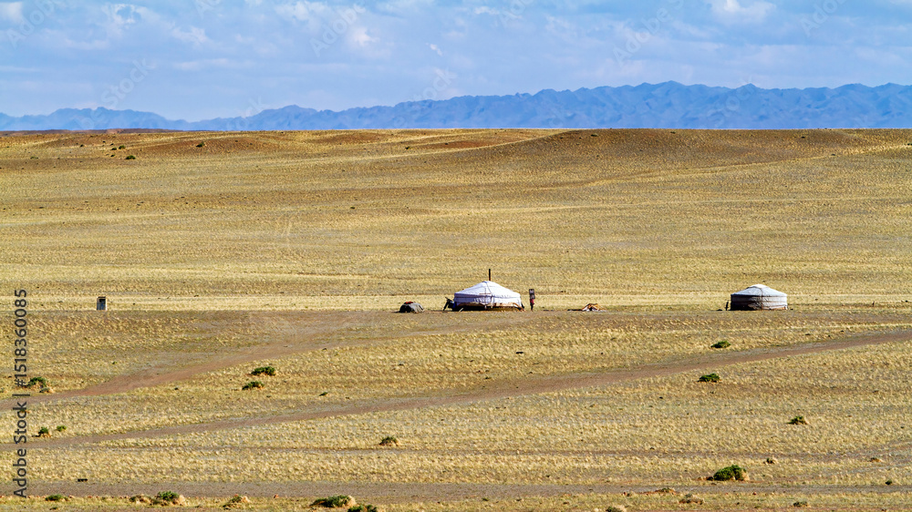 Obraz premium Yurt Camp in the Mongolian Gobi desert