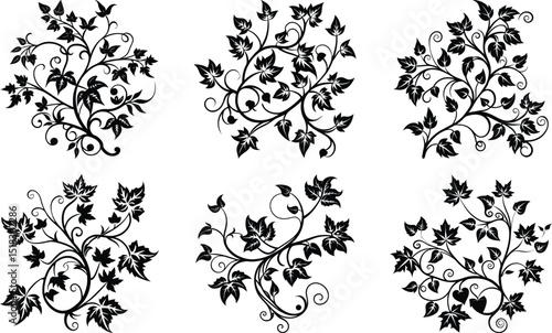 Vines and Tendrils Vector Illustration
