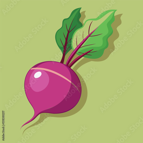 Organic Radish Vector for Eco-Friendly Designs