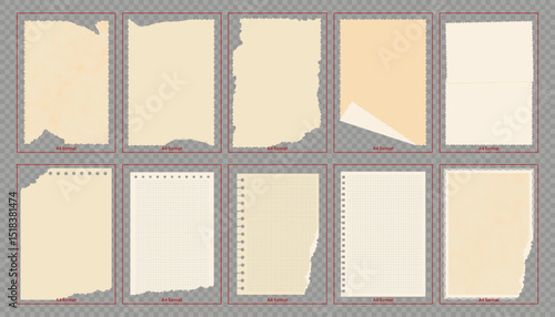 Vintage Textured Paper, A4 Format, note pages, torn paper. Vector Illustration