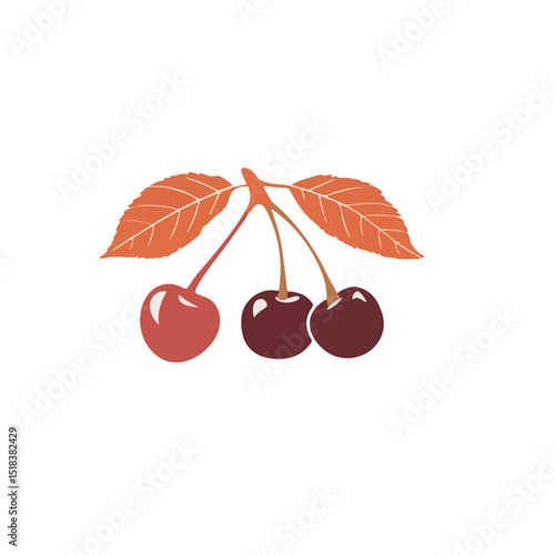cherry with leaves