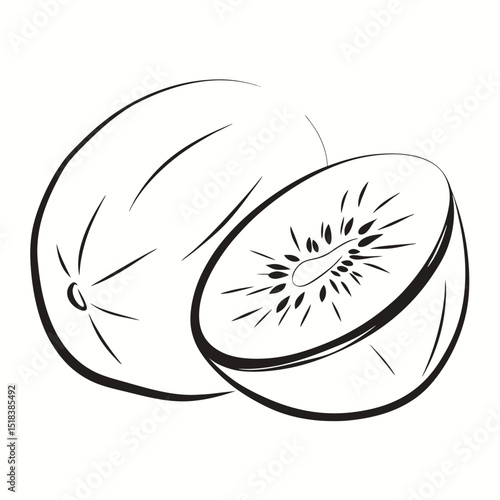 Two kiwi fruits illustration one whole and one cut in half minimalist style