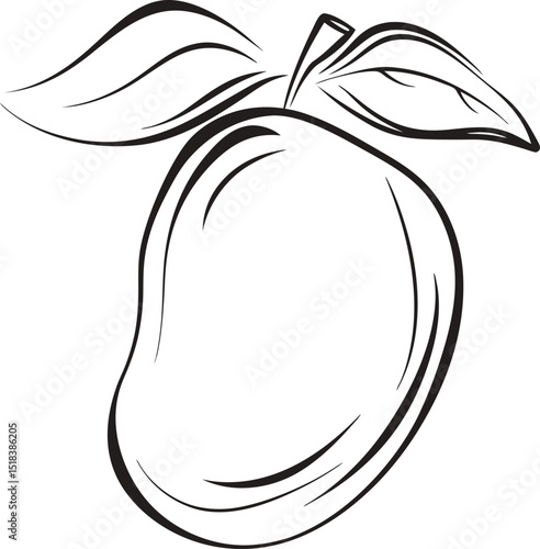 Simple black and white mango illustration with leaves for coloring books