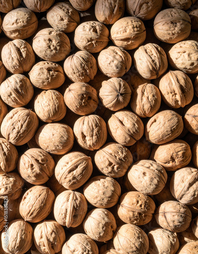 walnuts still life photograph