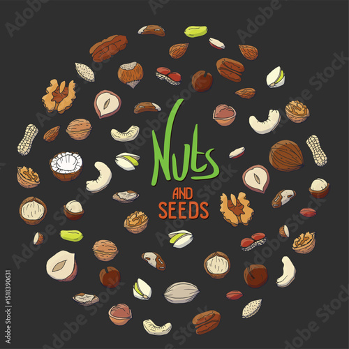 Colorful Nuts and Seeds Vector Illustration