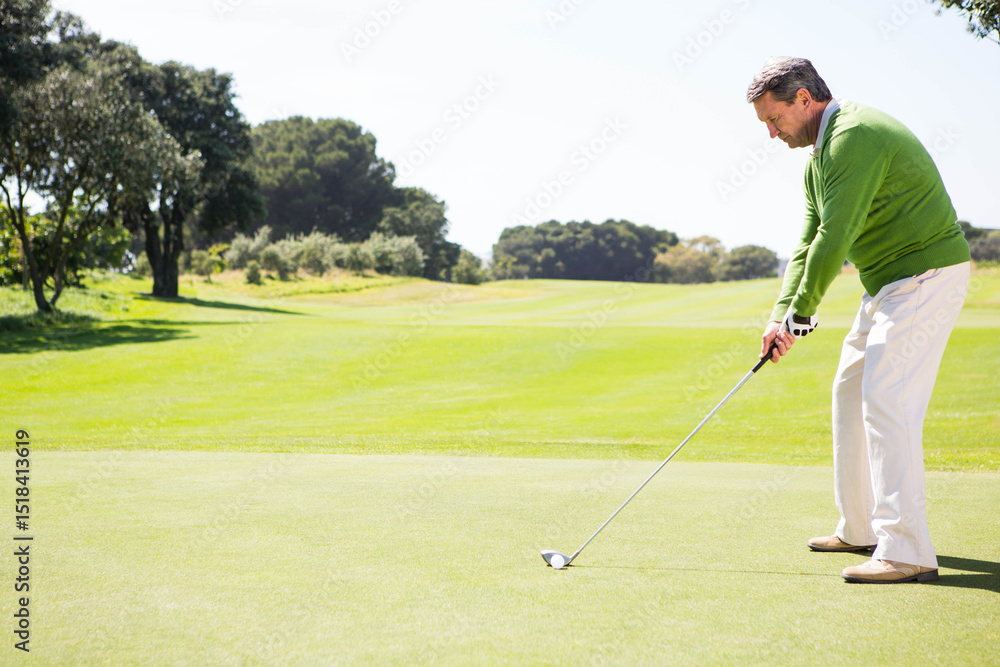 Fototapeta premium Senior African American man wearing golf glove gripping golf club on green aiming putt, copy space