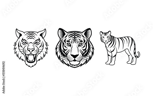 Vector illustration of a wild feline tiger head, a perfect symbol for nature-inspired tattoos.
