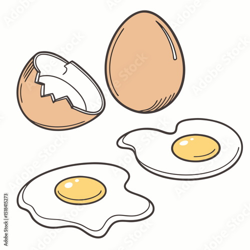 fried egg and broken egg icon vector
