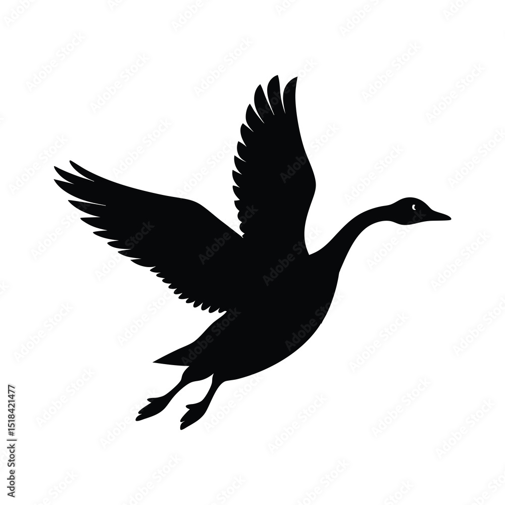 Fototapeta premium vector illustration of a seagull