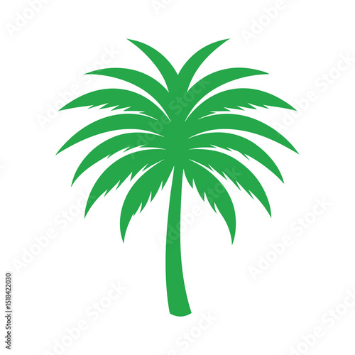 palm tree vector illustration
