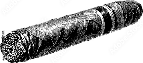 Engraved cigar illustration with bold black lines for artistic design