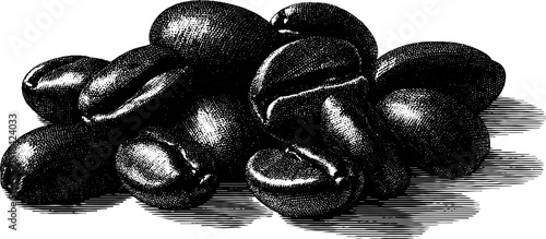 Engraved coffee beans illustration in black bold style for art and design projects