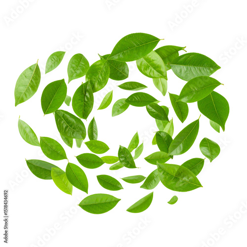  Whirling Leaves in Spiral Motion – 3D Dynamic Nature Element on Transparent PNG