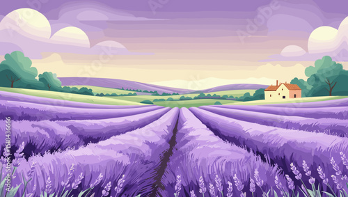 Lavender field landscape at sunrise with pastel purple tones and a quaint farmhouse