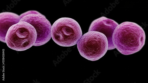 Acute Myeloid Leukemia Cells Under Microscopic View in Pink Hue