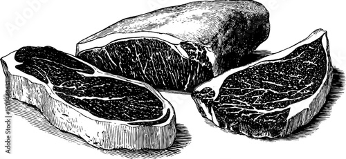 Engraved illustration of beef brisket cuts for culinary design and art projects