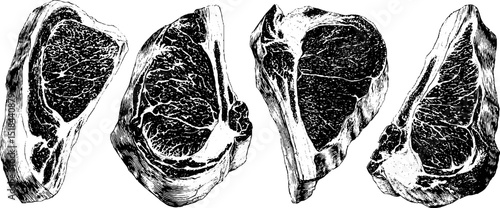 Engraved illustration set featuring beef steak and ribeye cuts for culinary themes