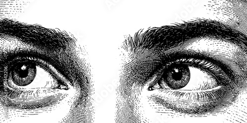 Detailed engraved illustration of eyes and expressive blushing cheeks