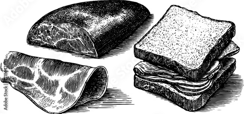 Engraved illustration set featuring bologna slices and sandwich design for culinary art
