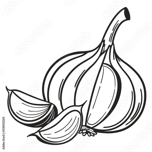 Aromatic garlic bulb design, great for spice racks, Italian cuisine, and health benefit infographics.