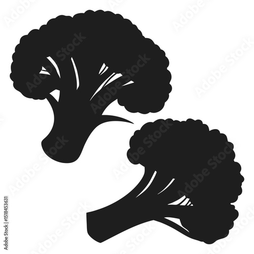 Clean broccoli floret illustration, perfect for nutritional content, food blogs, and organic food branding.