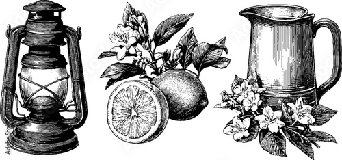 Engraved garden party lanterns with citrus and floral motifs for decorative design