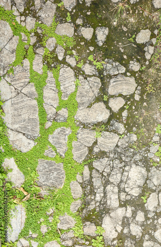 old broken side walk in Cozumel Mexico