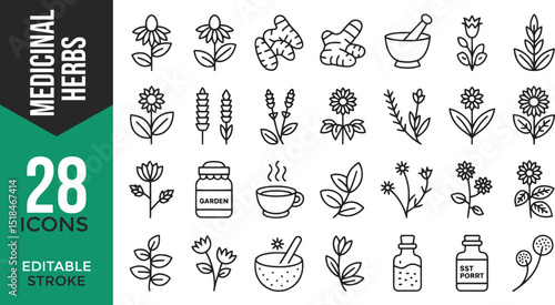 "Medicinal Herbs Line Icon Set – Thin Linear Vector Pictograms of Healing Plants"

