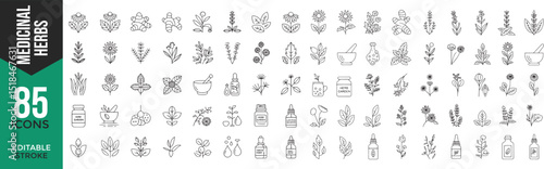 "Medicinal Herbs Line Icon Set – Thin Linear Vector Pictograms of Healing Plants"

